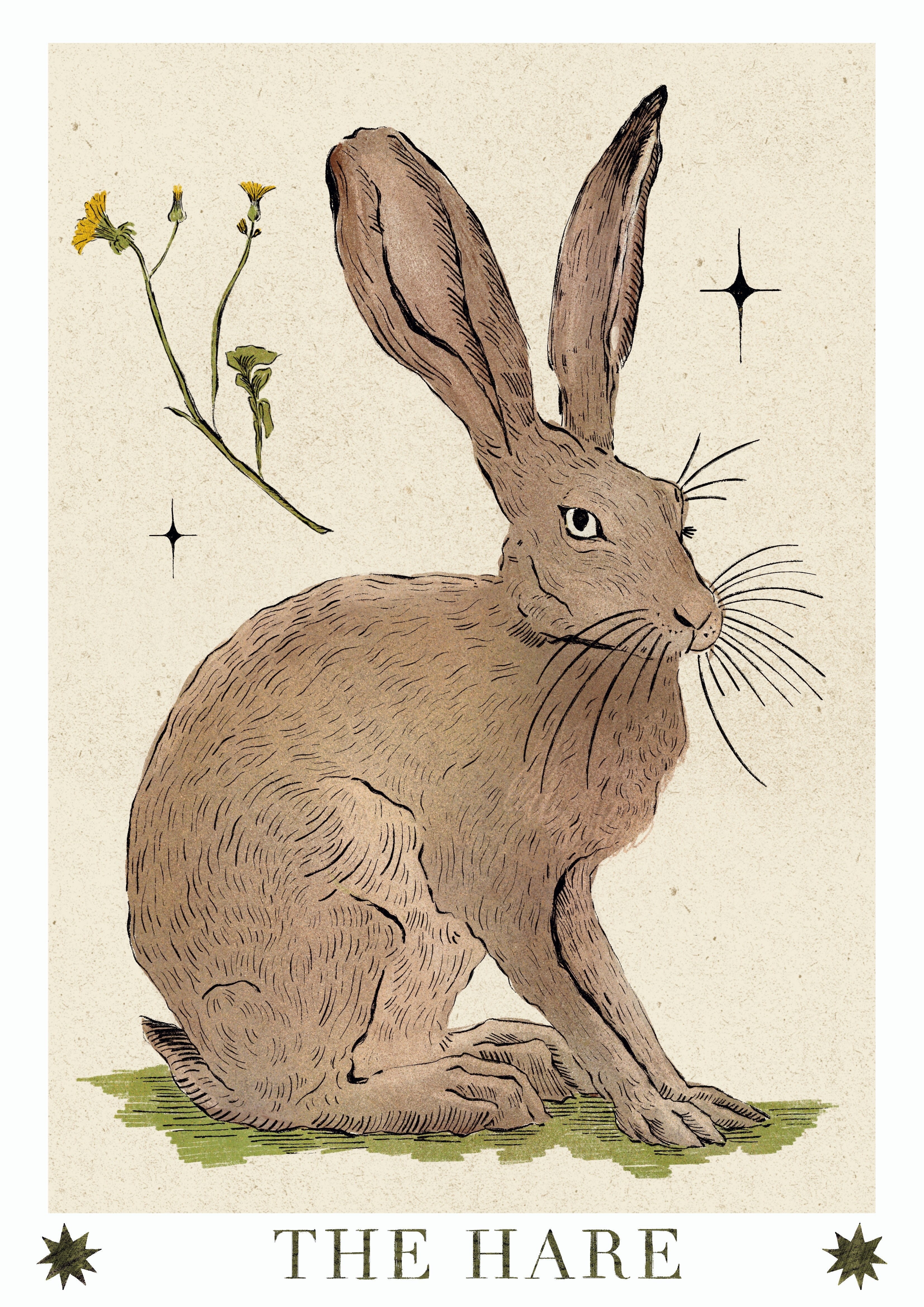 Illustration